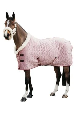 Kentucky Horsewear Velvet Turnierdecke, 160g 35 Kentucky Horsewear Velvet Turnierdecke, 160g -Pferdebedarf Verkauf 336617 RRPI 3