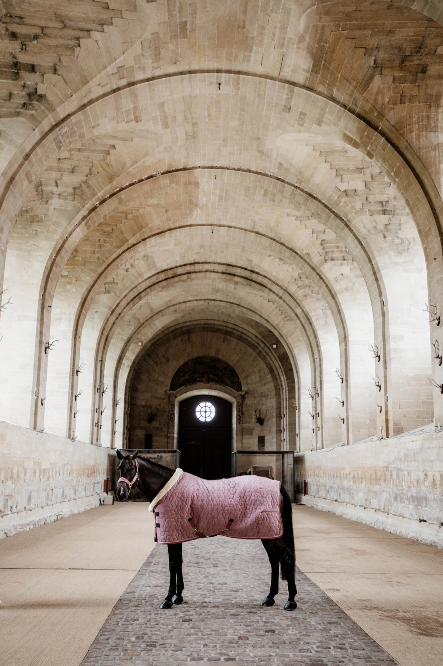 Kentucky Horsewear Velvet Turnierdecke, 160g 17 Kentucky Horsewear Velvet Turnierdecke, 160g – Bild 17