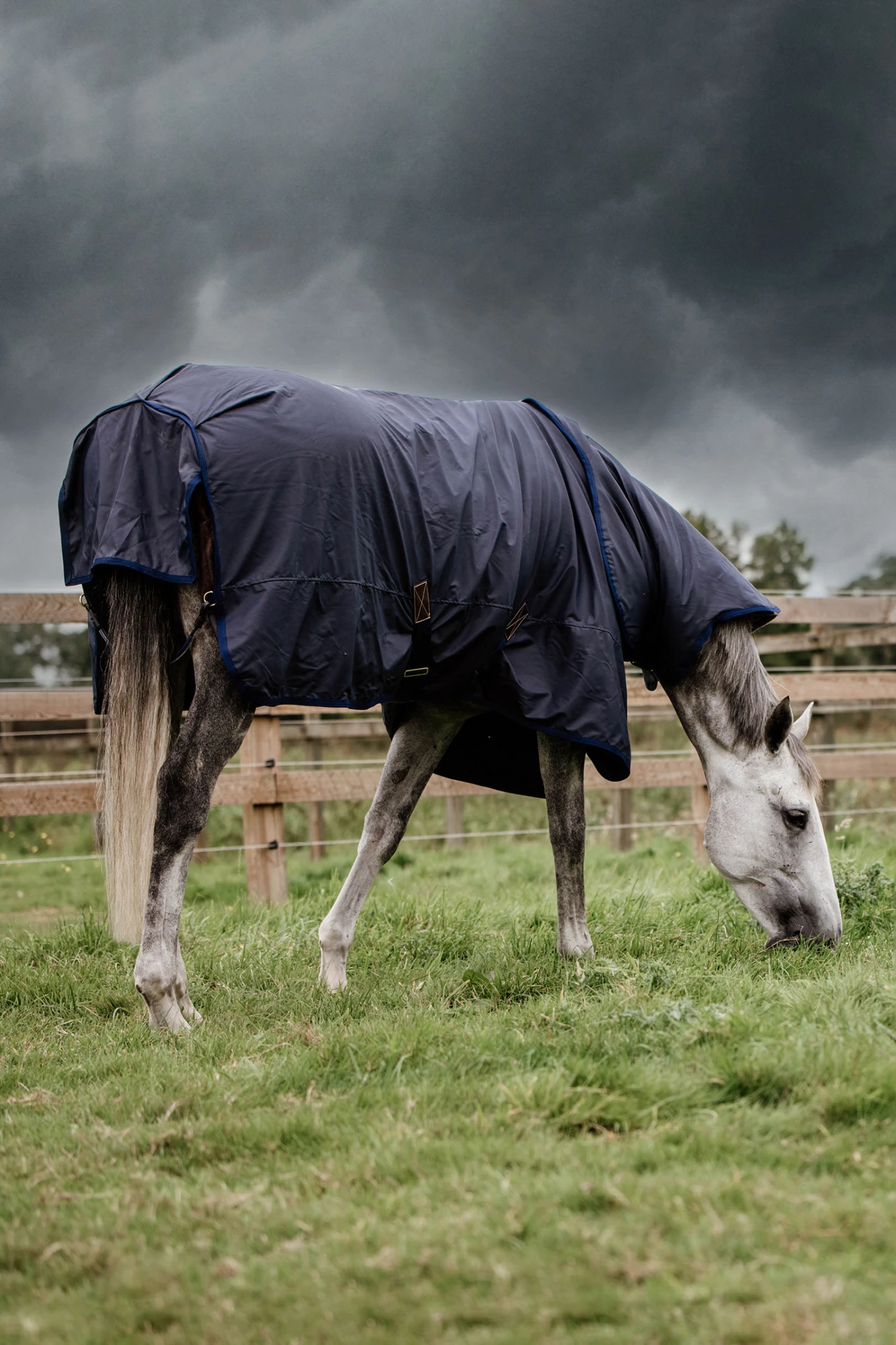 Kentucky Horsewear All Weather Hurricane Weidedecke, 50g 1 Kentucky Horsewear All Weather Hurricane Weidedecke, 50g