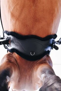 Kentucky Horsewear Anatomischer Lammfell Gurtschoner -Pferdebedarf Verkauf 338010 BL 3
