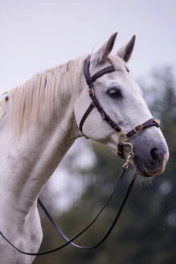 F.R.A. Imperial Hackamore Zaum -Pferdebedarf Verkauf 340176 BR 2