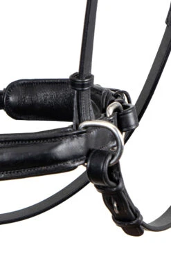 F.R.A. Alizée Mistral Gebissloser Zaum 14 F.R.A. Alizée Mistral Gebissloser Zaum -Pferdebedarf Verkauf 340183 BL BL 3