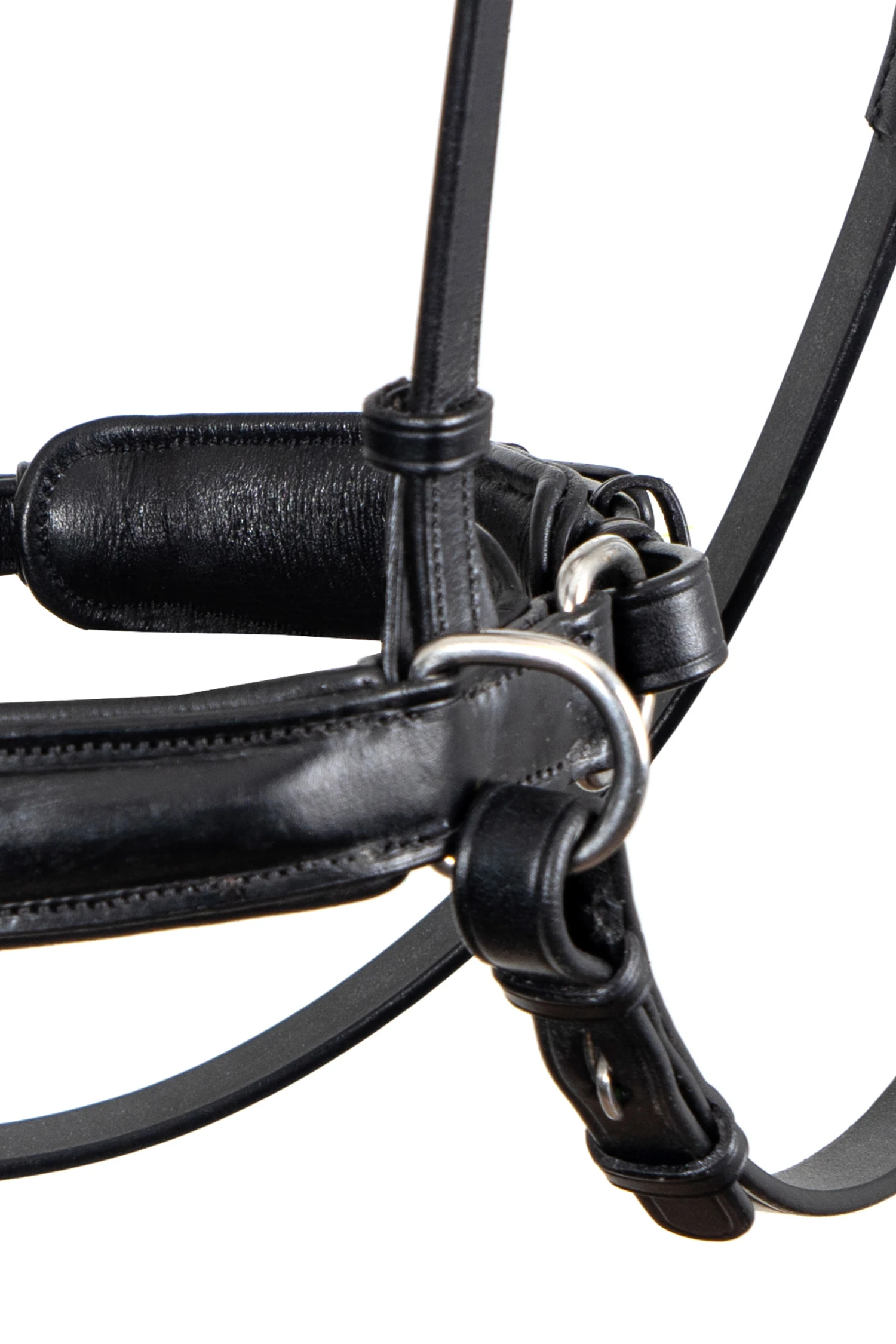 F.R.A. Alizée Mistral Gebissloser Zaum 3 F.R.A. Alizée Mistral Gebissloser Zaum – Bild 3