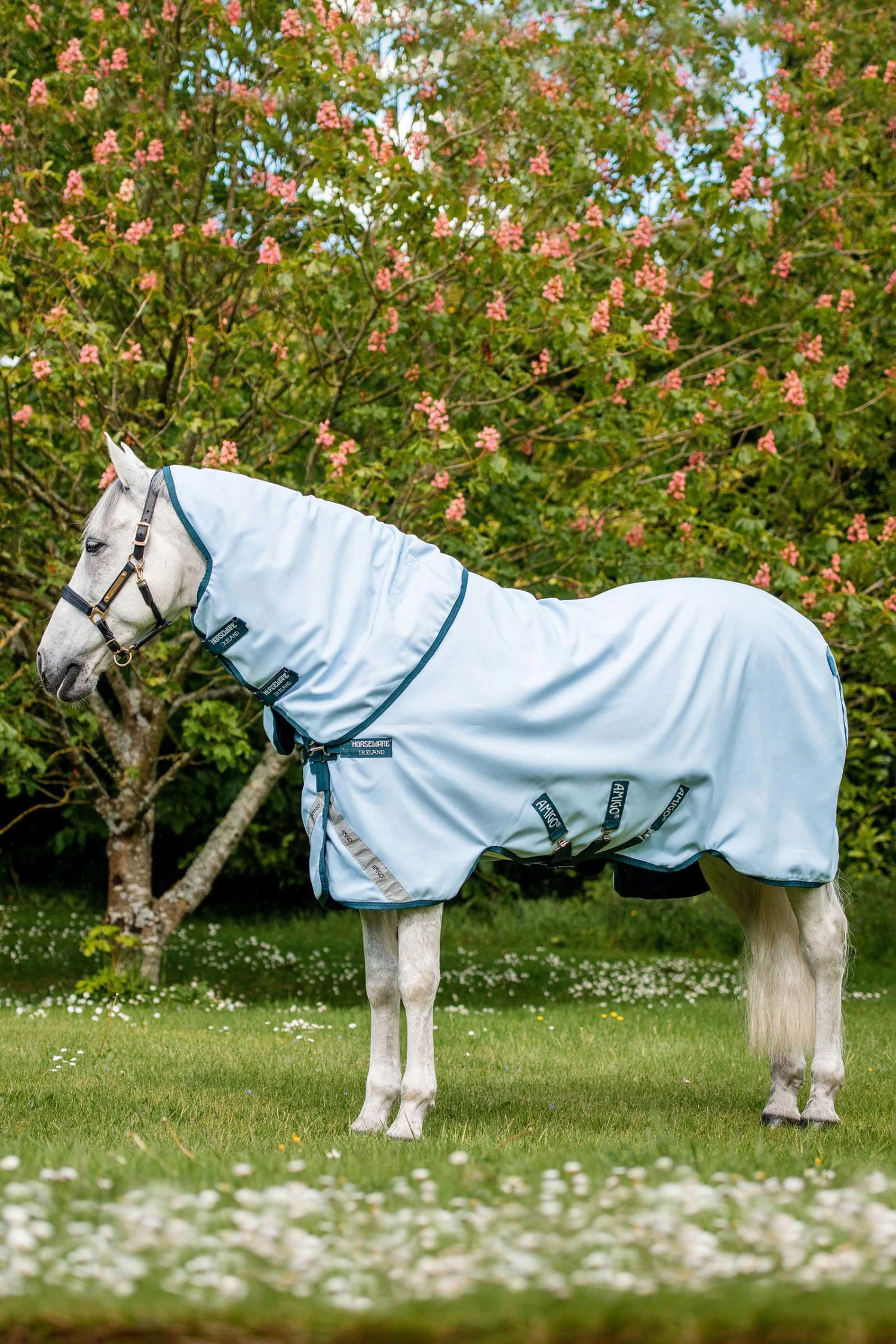 Horseware Amigo Plant Dye Weidedecke, 50g 1 Horseware Amigo Plant Dye Weidedecke, 50g