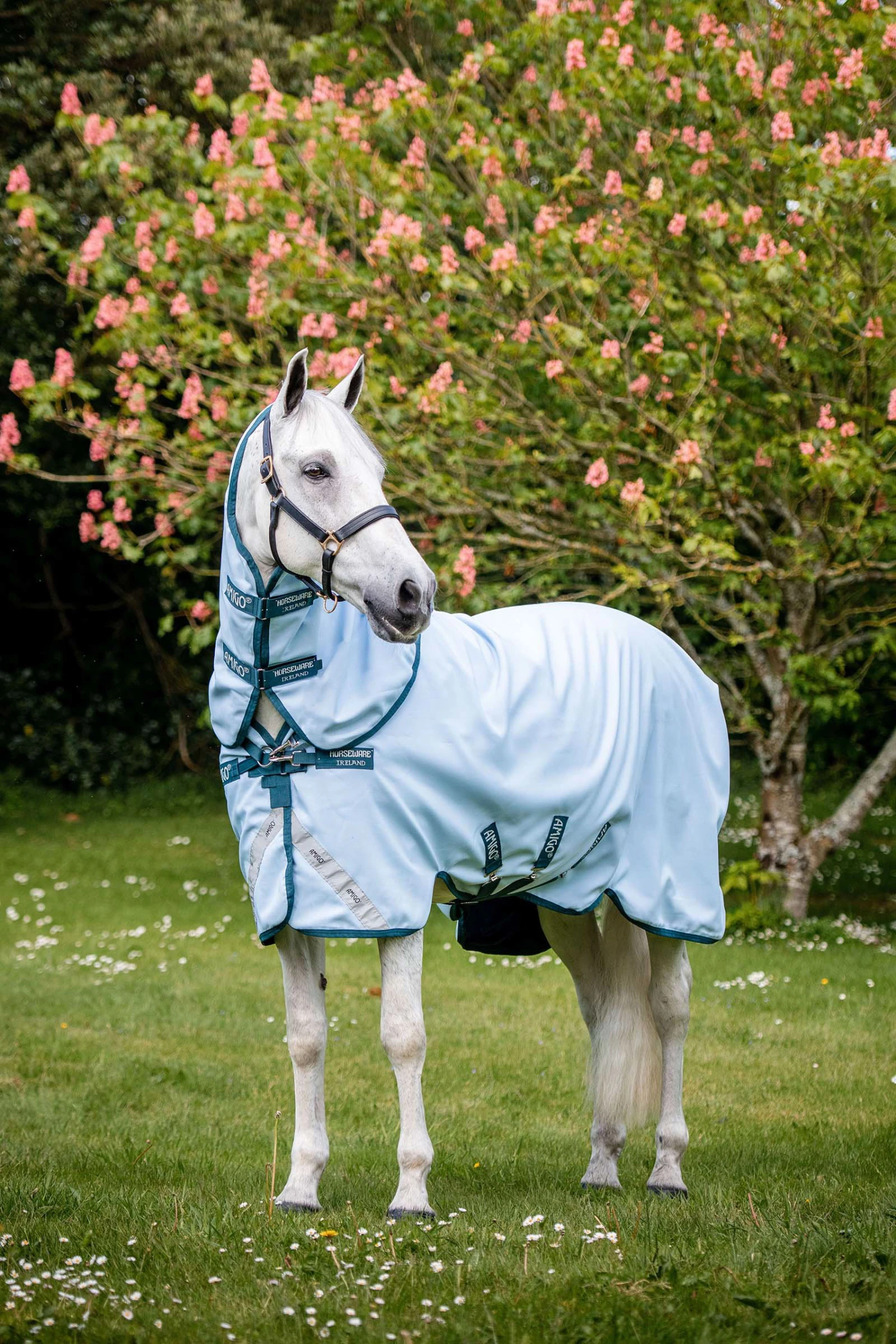 Horseware Amigo Plant Dye Weidedecke, 50g 2 Horseware Amigo Plant Dye Weidedecke, 50g – Bild 2