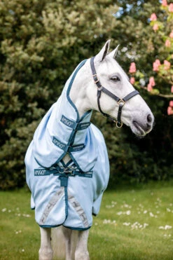 Horseware Amigo Plant Dye Weidedecke, 50g 8 Horseware Amigo Plant Dye Weidedecke, 50g -Pferdebedarf Verkauf 340224 B DB 3