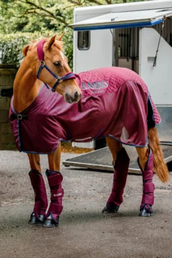 Horseware Rambo Travel Series Transportdecke, 50g 19 Horseware Rambo Travel Series Transportdecke, 50g -Pferdebedarf Verkauf 340250 BU BU TLB 01