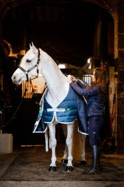 Horseware Eco Liner, 300g 10 Horseware Eco Liner, 300g -Pferdebedarf Verkauf 340949 TE G 3