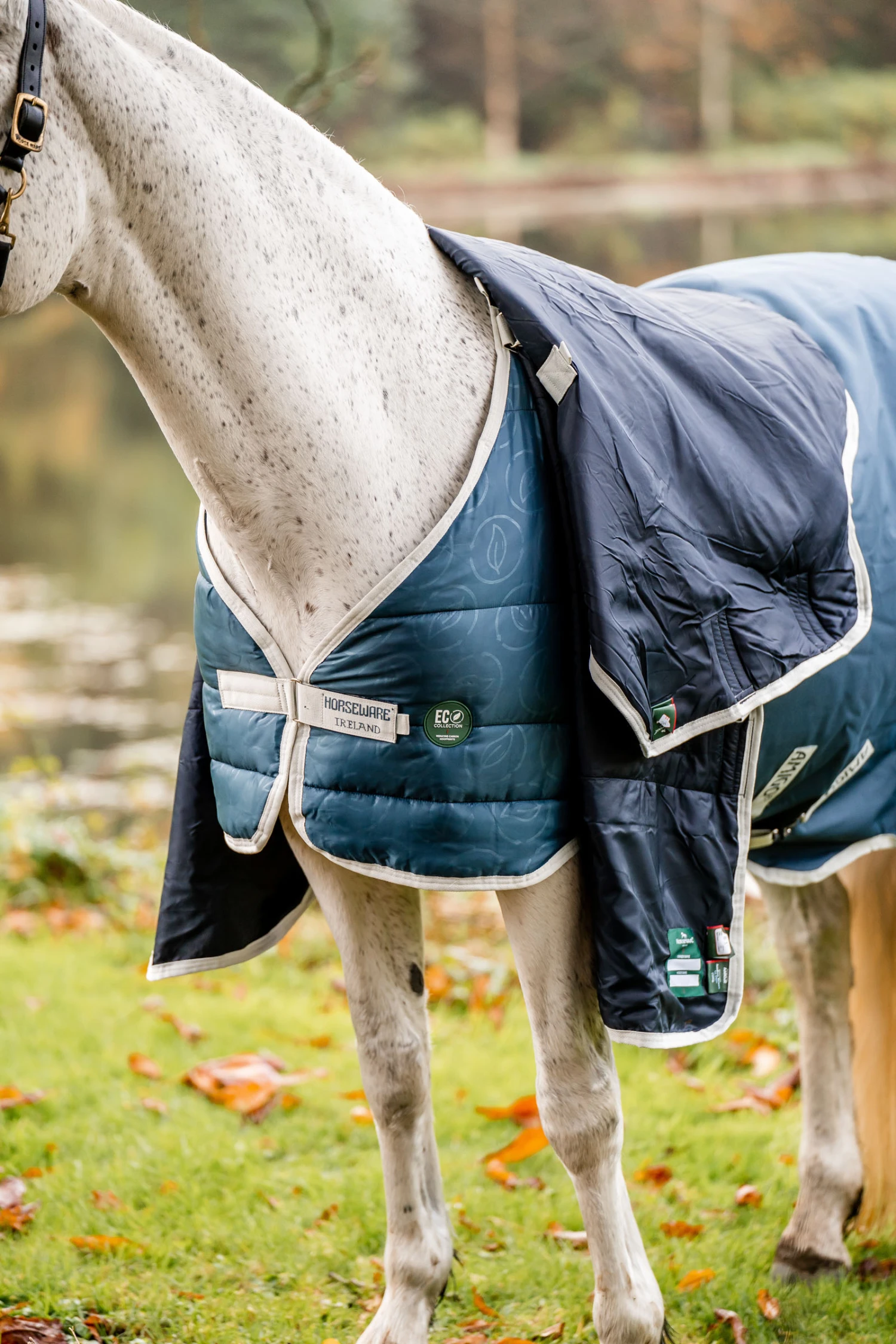 Horseware Eco Liner, 300g 4 Horseware Eco Liner, 300g – Bild 4