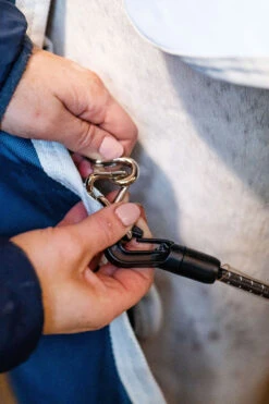 Horseware Eco Liner, 300g 14 Horseware Eco Liner, 300g -Pferdebedarf Verkauf 340949 TE G 7