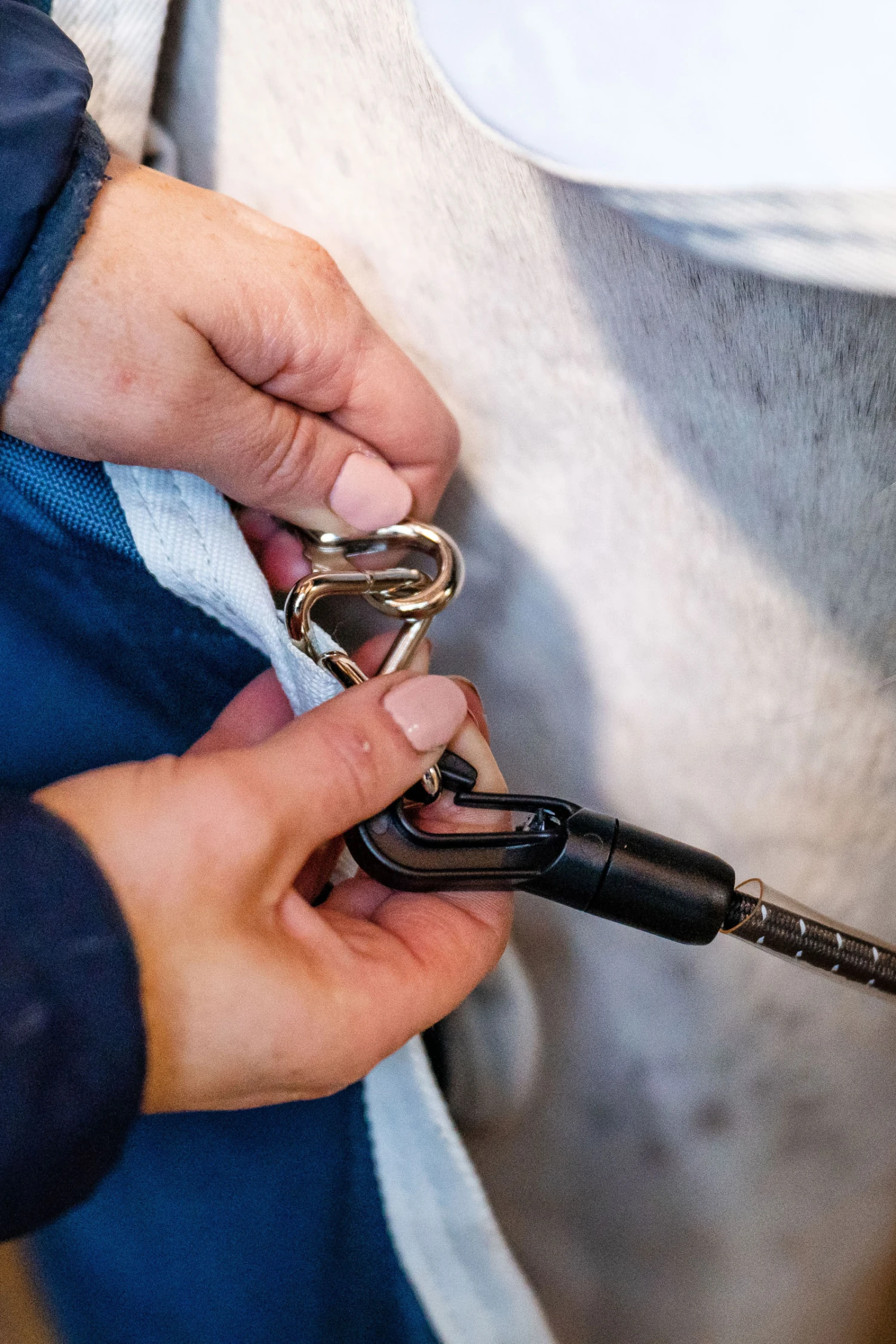 Horseware Eco Liner, 300g 7 Horseware Eco Liner, 300g – Bild 7