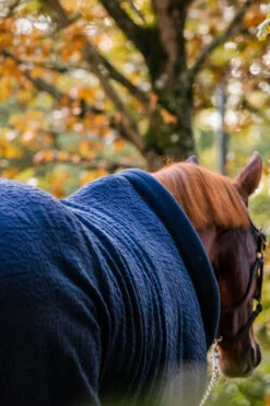 Horseware Embossed Cosy Neck Abschwitzdecke -Pferdebedarf Verkauf 340951 DB BU 7
