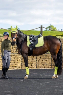 LeMieux Classic Fleece Bandagen -Pferdebedarf Verkauf 342145 SLGR 02