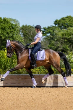 LeMieux Classic Fleece Bandagen -Pferdebedarf Verkauf 342145 WLPU 02