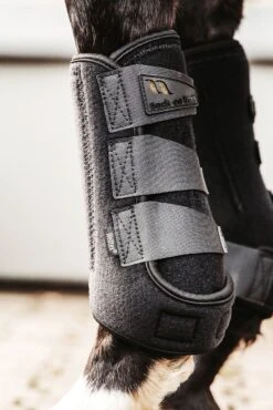 Back On Track Airflow Trainingsgamaschen -Pferdebedarf Verkauf 342173 BL 14