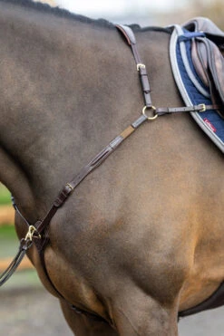 LeMieux Vorderzeug Mit Abnehmbarem Martingal -Pferdebedarf Verkauf 342208 HVBR 4