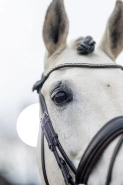 LeMieux Classic Dressurtrense -Pferdebedarf Verkauf 342209 HVBR 4