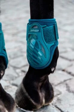 Kentucky Horsewear Jungpferde Streichkappe -Pferdebedarf Verkauf 342513 EGR 2