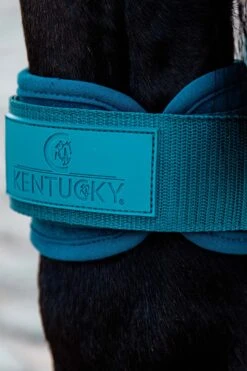 Kentucky Horsewear Jungpferde Streichkappe -Pferdebedarf Verkauf 342513 EGR 3