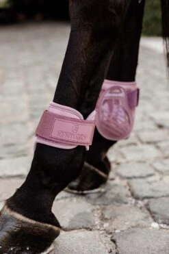 Kentucky Horsewear Jungpferde Streichkappe -Pferdebedarf Verkauf 342513 ORPI 3