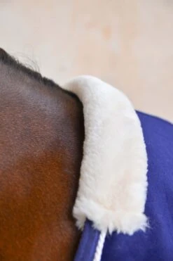 Harcour Cancale Abschwitzdecke -Pferdebedarf Verkauf 342514 DB 3