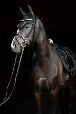 Eskadron Essence 22/23 Glitter Mesh Sport Fliegenhaube -Pferdebedarf Verkauf 342557 DOGR 2