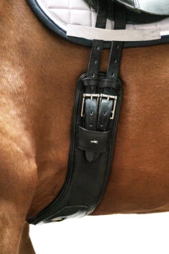 Schockemöhle Pittsburgh Stretch Kurzgurt -Pferdebedarf Verkauf 343554 BL SI 4