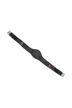 Schockemöhle Portland Langgurt -Pferdebedarf Verkauf 343555 BL SI 1