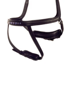 Kavalkade Kóngablár Ivy Reithalfter Für Aradis Islandtrense