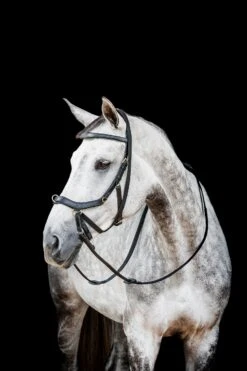 Horseware Rambo Micklem 2 Multi Trense