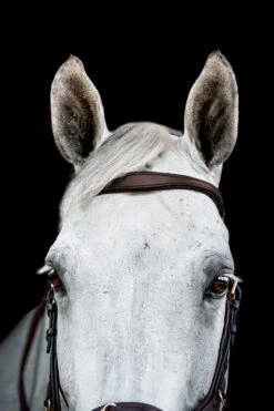 Horseware Rambo Micklem 2 Multi Trense -Pferdebedarf Verkauf 345014 DBR 02