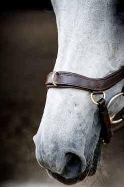 Horseware Rambo Micklem 2 Multi Trense -Pferdebedarf Verkauf 345014 DBR 04