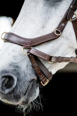 Horseware Rambo Micklem 2 Multi Trense -Pferdebedarf Verkauf 345014 DBR 05