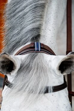 Horseware Rambo Micklem 2 Multi Trense -Pferdebedarf Verkauf 345014 DBR 06