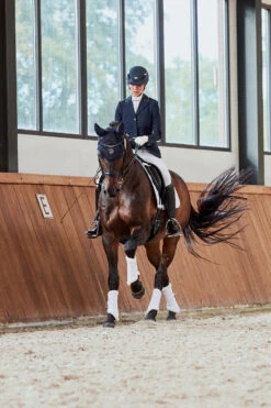 Eskadron Platinum Pure FS23 Mesh Evo-Wool Gamaschen -Pferdebedarf Verkauf 345499 WH 01