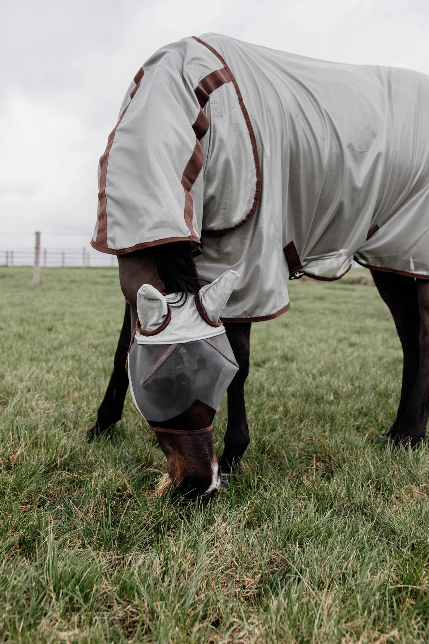 Kentucky Horsewear Classic Fliegendecke 2 Kentucky Horsewear Classic Fliegendecke – Bild 2