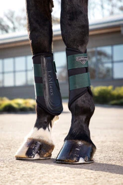 LeMieux Grafter Fesselkopfgamaschen -Pferdebedarf Verkauf RQCG5 690 06