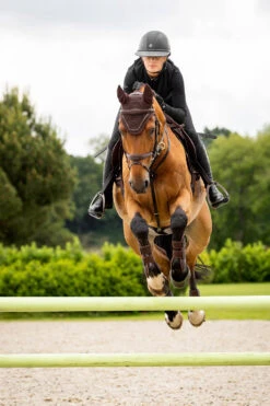 LeMieux Crystal Fliegenhaube -Pferdebedarf Verkauf Z1KR0 780 03